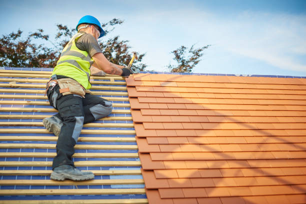 Best Roof Maintenance and Cleaning  in Wamego, KS